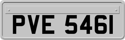 PVE5461