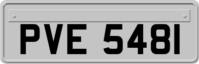PVE5481