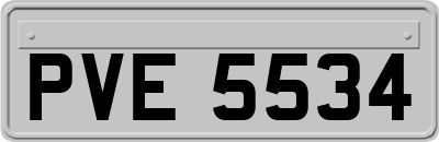 PVE5534
