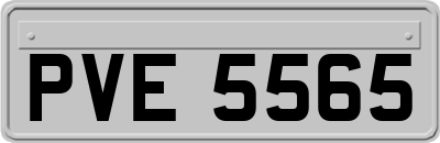 PVE5565