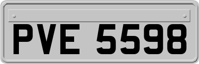 PVE5598