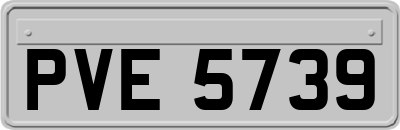 PVE5739