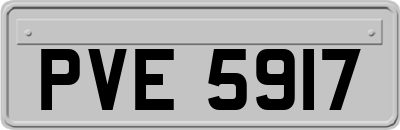 PVE5917
