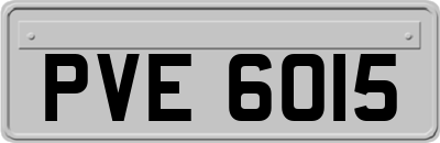 PVE6015