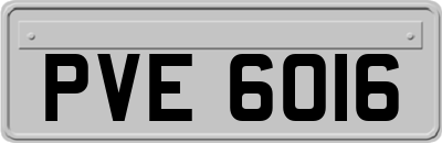 PVE6016