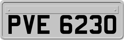 PVE6230