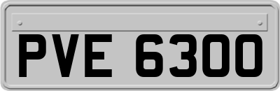 PVE6300