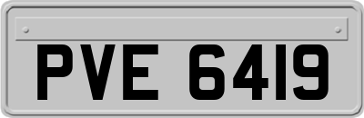 PVE6419