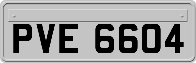PVE6604