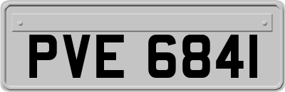 PVE6841