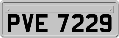 PVE7229