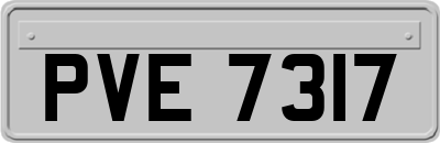 PVE7317