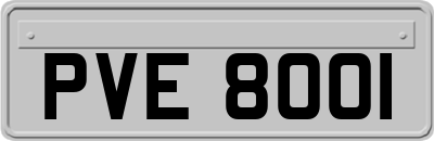 PVE8001