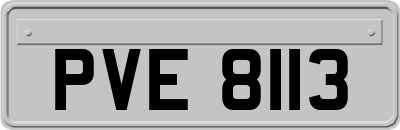 PVE8113