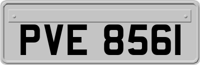 PVE8561