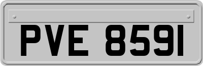 PVE8591