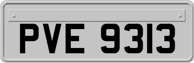 PVE9313