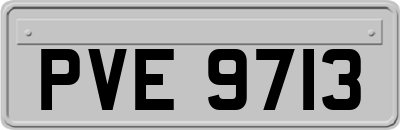 PVE9713