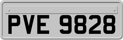 PVE9828
