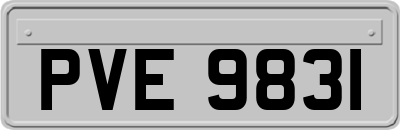 PVE9831