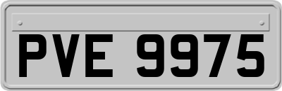 PVE9975