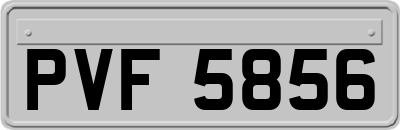 PVF5856