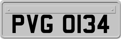 PVG0134