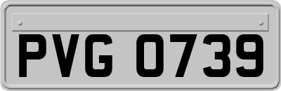 PVG0739