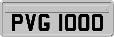 PVG1000
