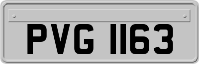 PVG1163