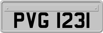 PVG1231