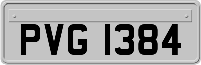 PVG1384