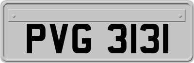 PVG3131