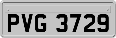 PVG3729
