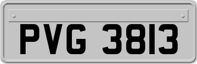PVG3813