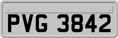 PVG3842