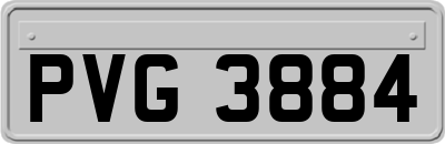 PVG3884