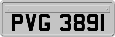 PVG3891