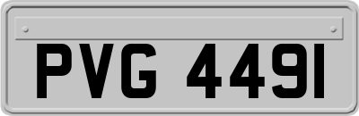 PVG4491