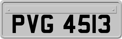 PVG4513