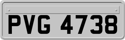 PVG4738