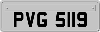 PVG5119