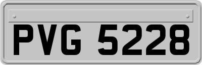 PVG5228