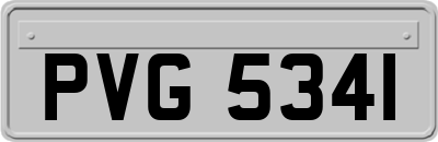 PVG5341