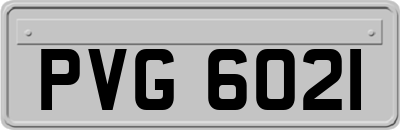 PVG6021