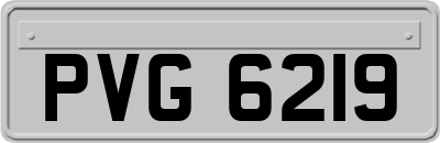 PVG6219