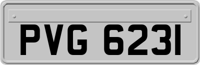 PVG6231