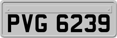 PVG6239