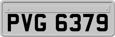 PVG6379
