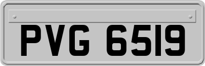 PVG6519